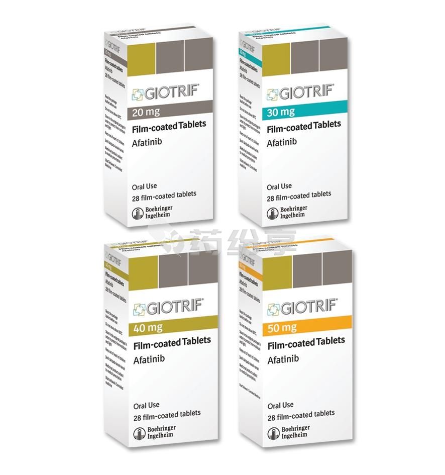 Giotrif6001PPS0 2025040109543317059