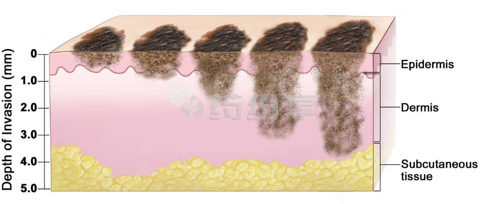 219bce707cdd05131fd1b862a3ebc8f