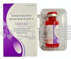 2 2025102102423493685