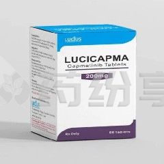 卡马替尼 2025111412403376136