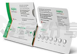 微信图片_20251105114251_279_31 2025121101091414346